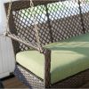 Dark Brown Resin Wicker 2-Person Porch Swing with Green Cushion