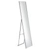 Modern Free-Standing Floor Mirror in Champagne Steel Finish