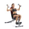 Dumbbell Exercise and Weight Lifting Ab Fitness Bench