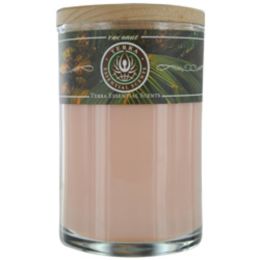 Coconut Soy Candle 12 Oz Tumbler. A Warm and Welcoming Blend With Tiger Eye Gemstone. Burns Approx. 30+ Hours For Anyone