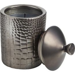 Thompson Ferrier Fireside Alligator Textured Scented Candle 18.4 Oz For Anyone