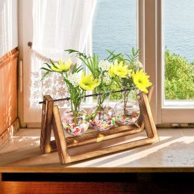 1Pc Desktop Glass Planter Bulb Plant Terrarium