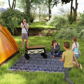 Reversible Outdoor Rug - CJSP246893701AZ
