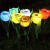 Solar Garden Stake Night Lights