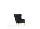 Modern Style Chair in Black