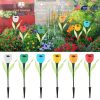 Solar Garden Stake Night Lights
