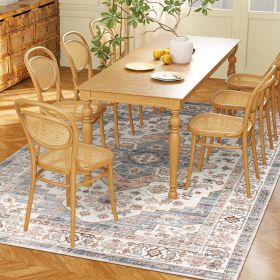 4 x 6 Ft Vintage Machine Washable Area Rug Non Slip - CJSP246128401AZ