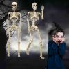 2 Pack 36"Halloween Skeleton - 3 ft Life Size Human Skeleton with Full Body Posable Joints Plastic Skeleton for Halloween Skeletons Decor Yard Patio L